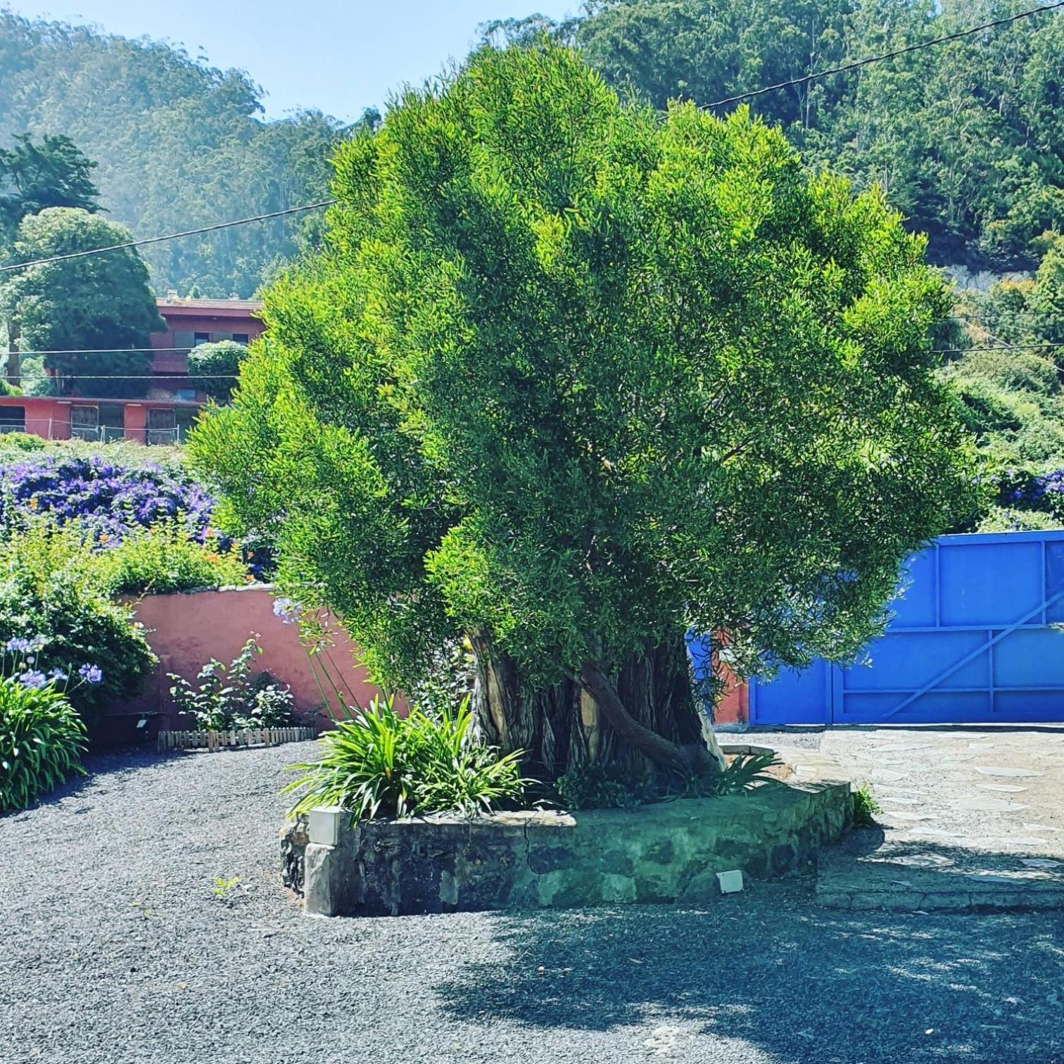 Casa El Porte Tegueste Esterno foto