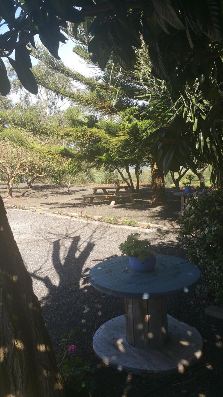 Casa El Porte Tegueste Esterno foto